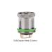 D43 Clapton Mesh